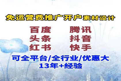 竞价广告策略案例分析